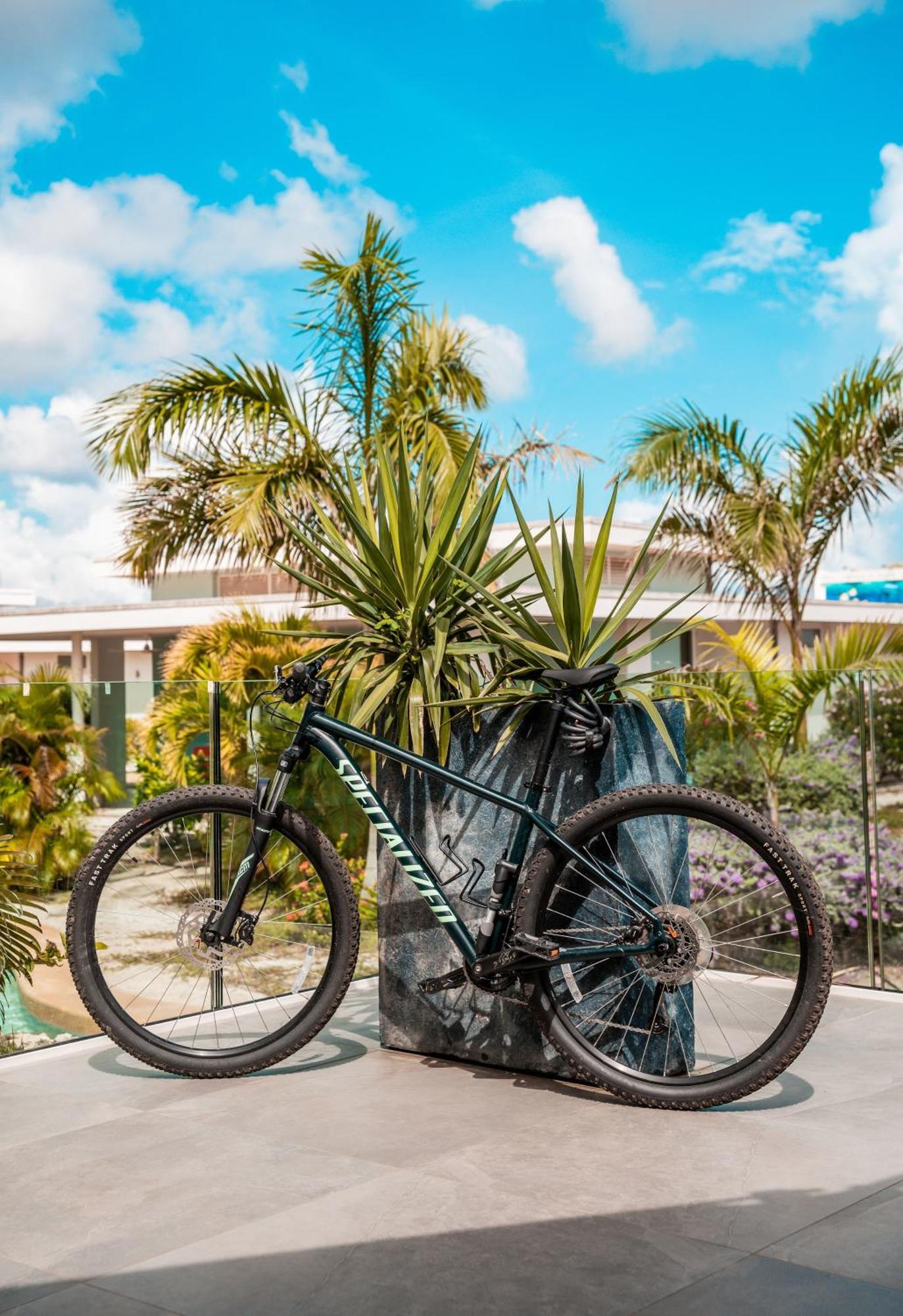 Chogogo Dive & Beach Resort Bonaire Playa Dış mekan fotoğraf