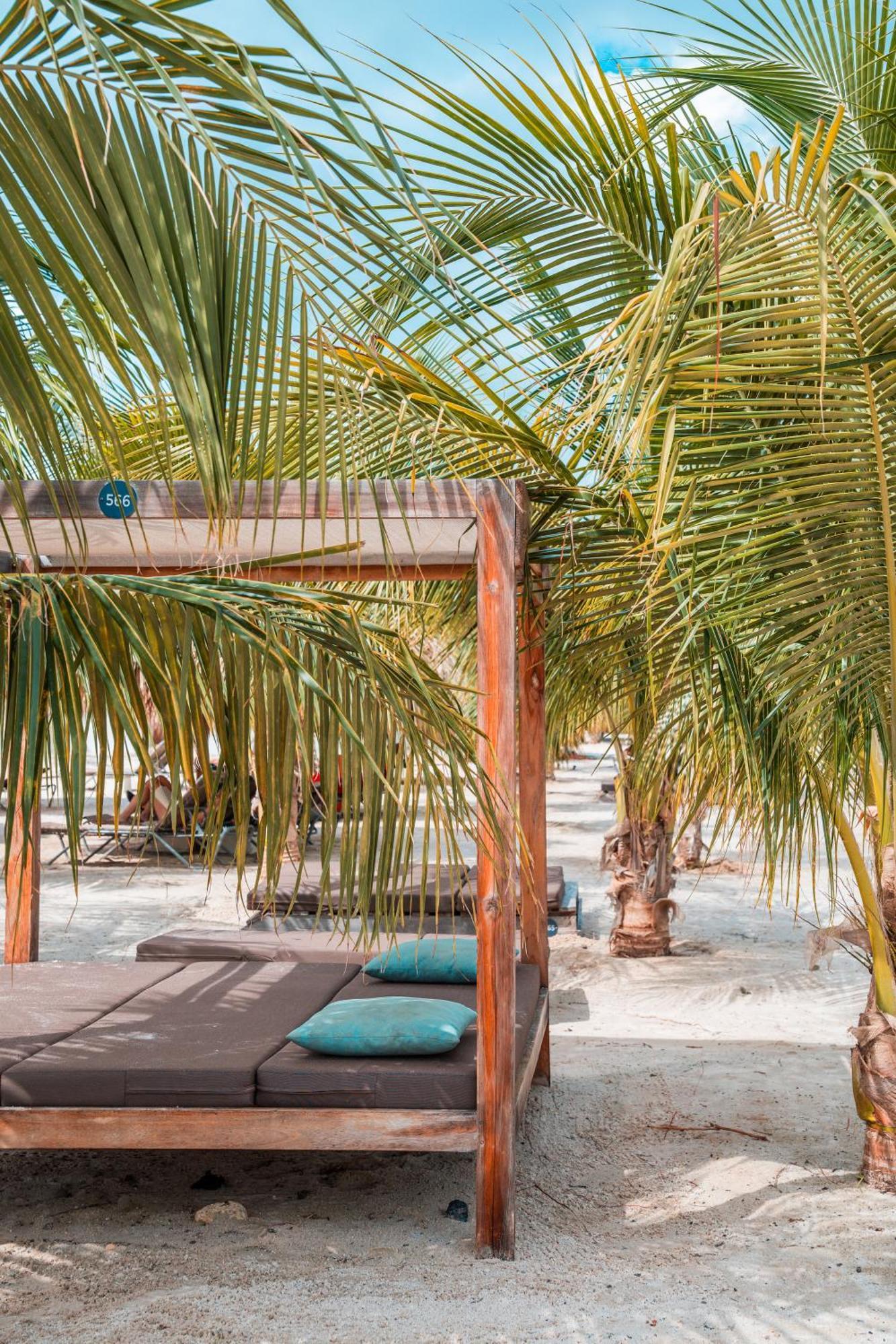 Chogogo Dive & Beach Resort Bonaire Playa Dış mekan fotoğraf