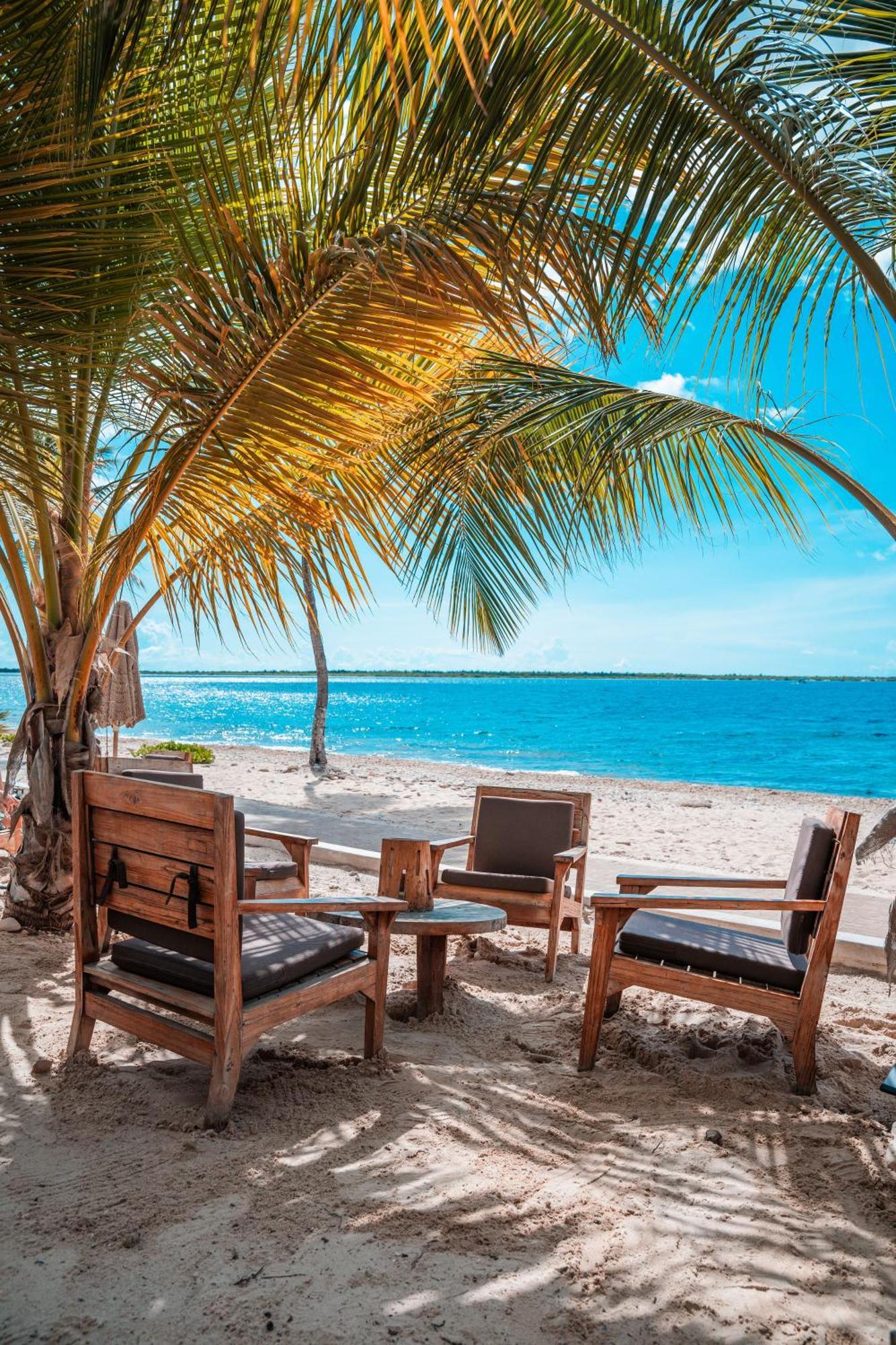 Chogogo Dive & Beach Resort Bonaire Playa Dış mekan fotoğraf